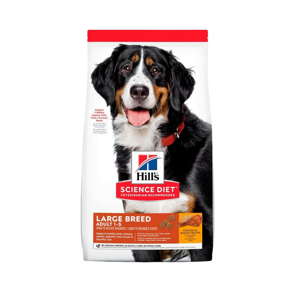 ADULT LARGE 15 kg PERRO