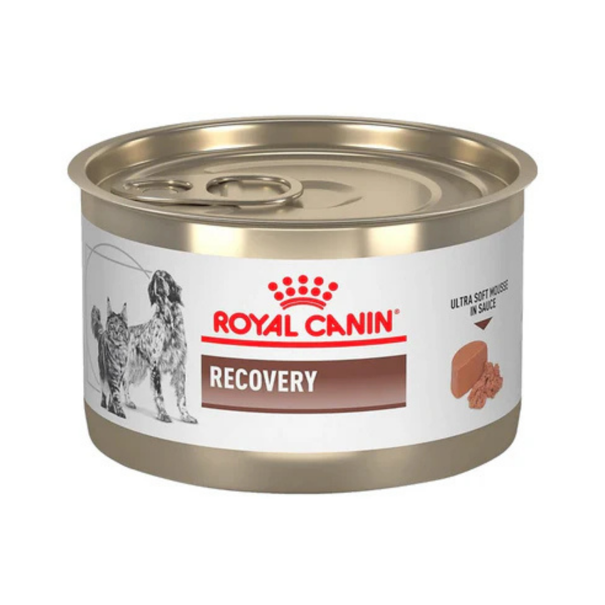 RECOVERY lata 145 g PERRO/GATO