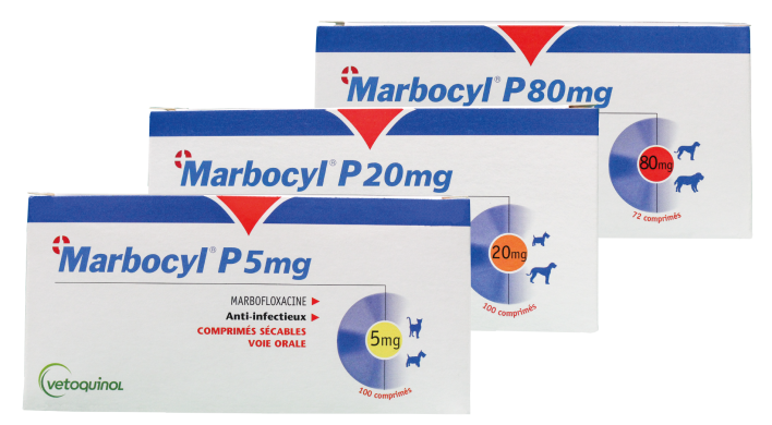 MARBOCYL P 80 mg blister 6 tabs