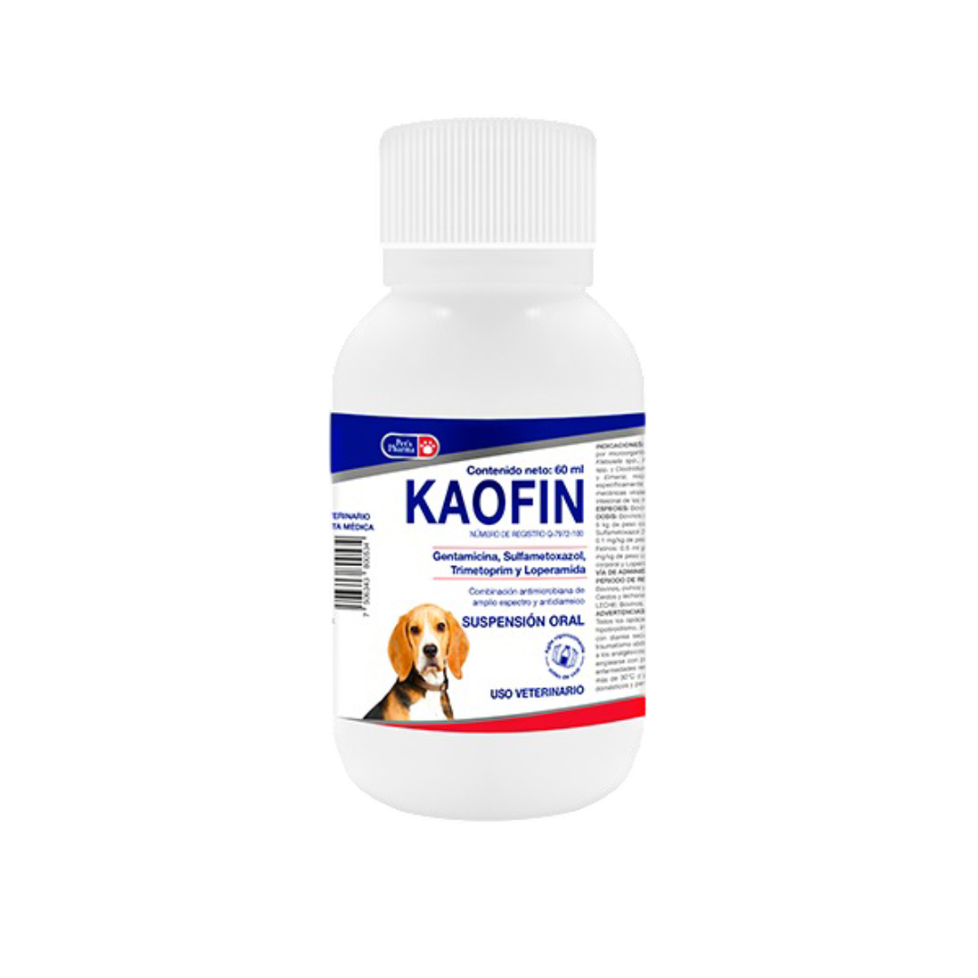 KAOFIN SUSPENSION 60 ml