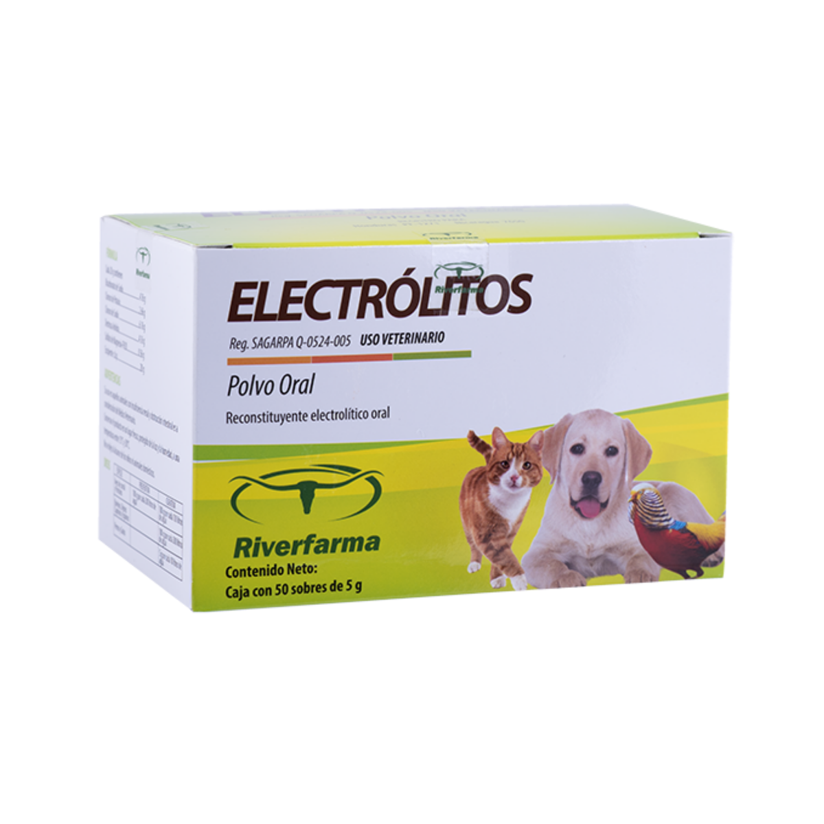 CAJA ELECTRÓLITOS POLVO 50 sobres