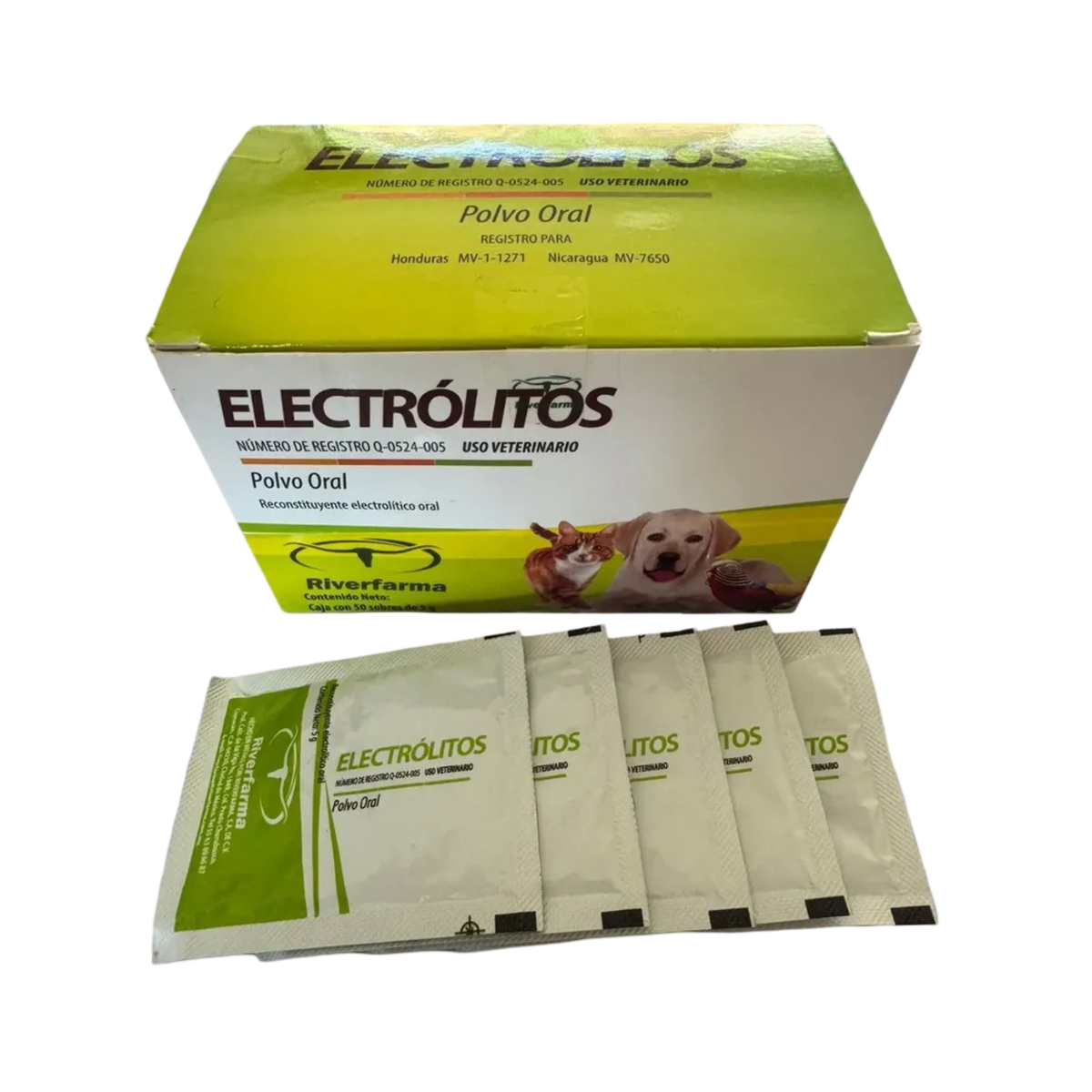SOBRE ELECTRÓLITOS POLVO ORAL 5 g