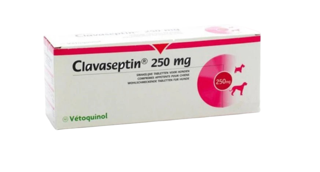 CLAVASEPTIN 250 mg 10 tabs