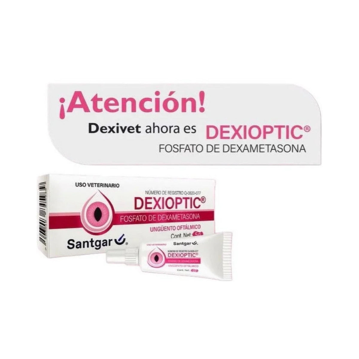 DEXIOPTIC UNGUENTO OFTALMICO 5 g (antes dexivet)