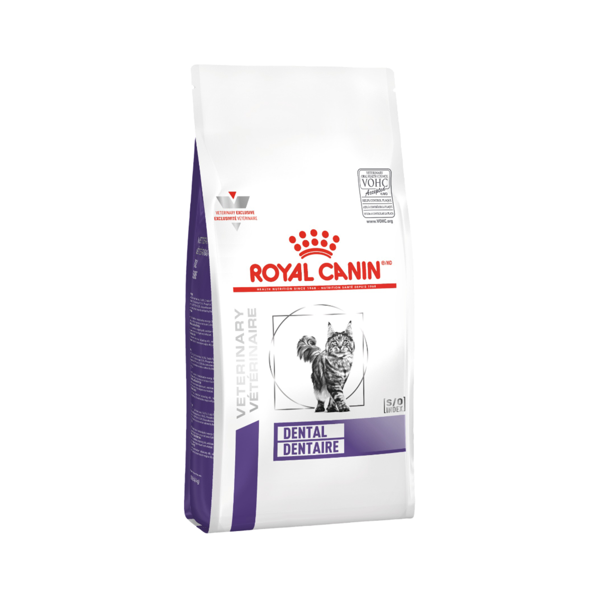 DENTAL DRY 1.5 kg GATO