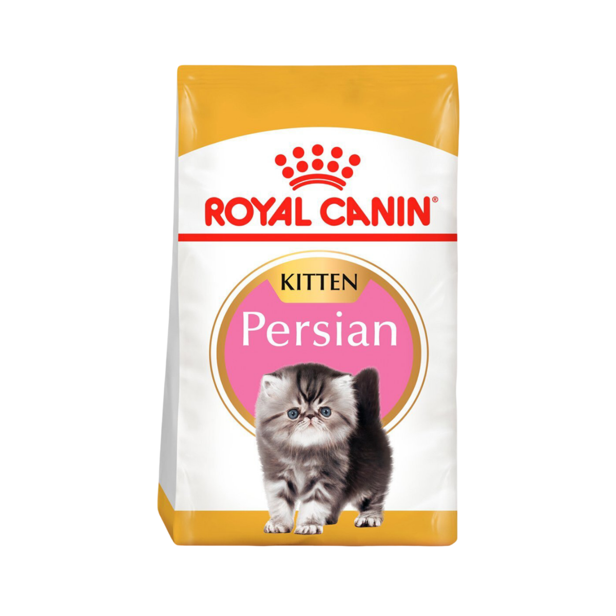 PERSIAN KITTEN 1.36 kg GATO