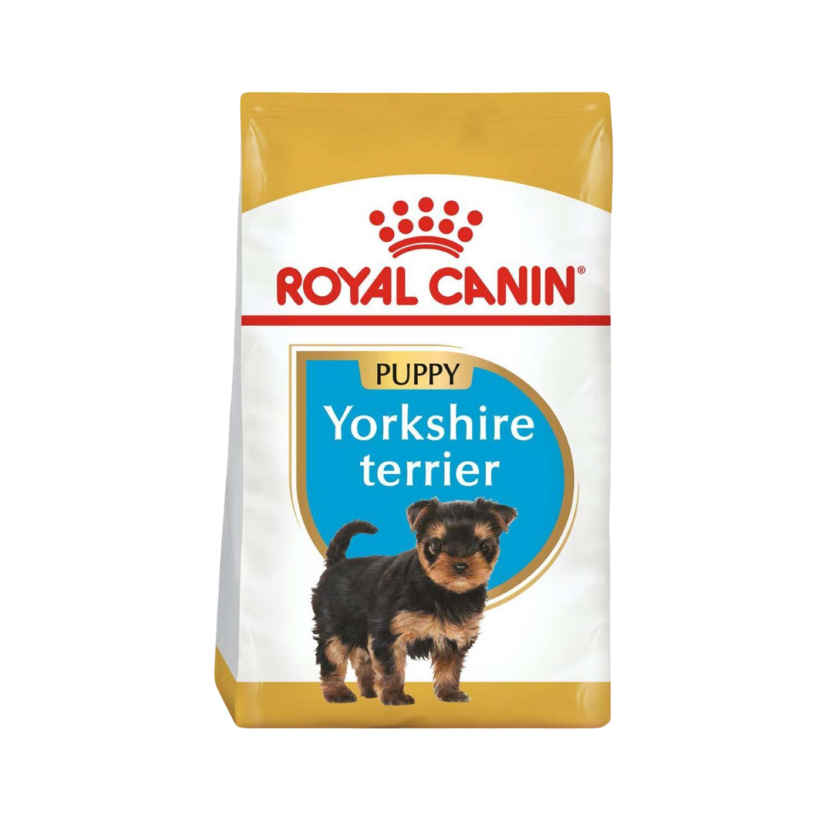 YORKSHIRE PUPPY 1 kg