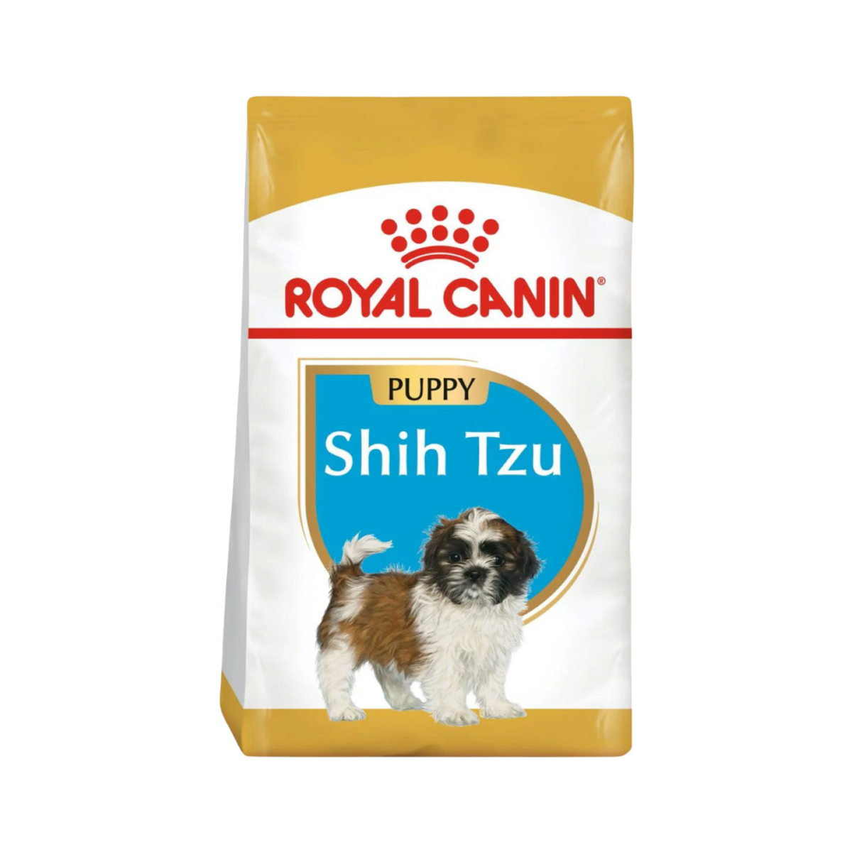 SHIH-TZU PUPPY 1.1 kg