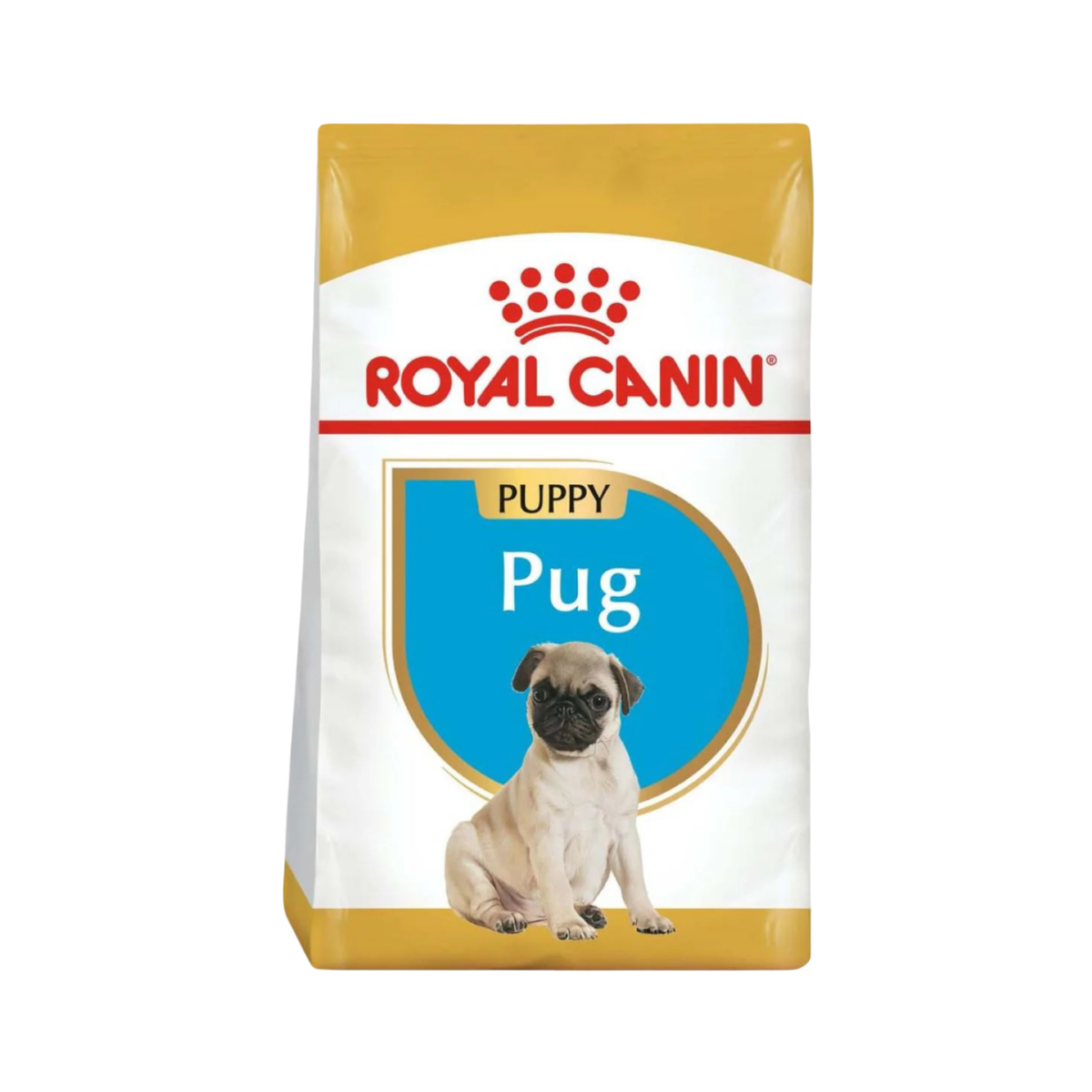 PUG PUPPY 1.1 kg