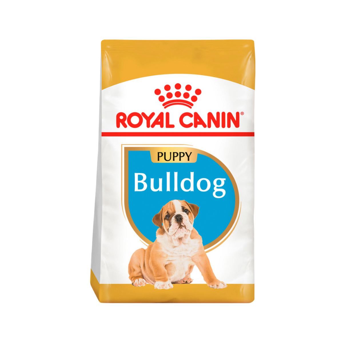 BULLDOG PUPPY 2.73 kg
