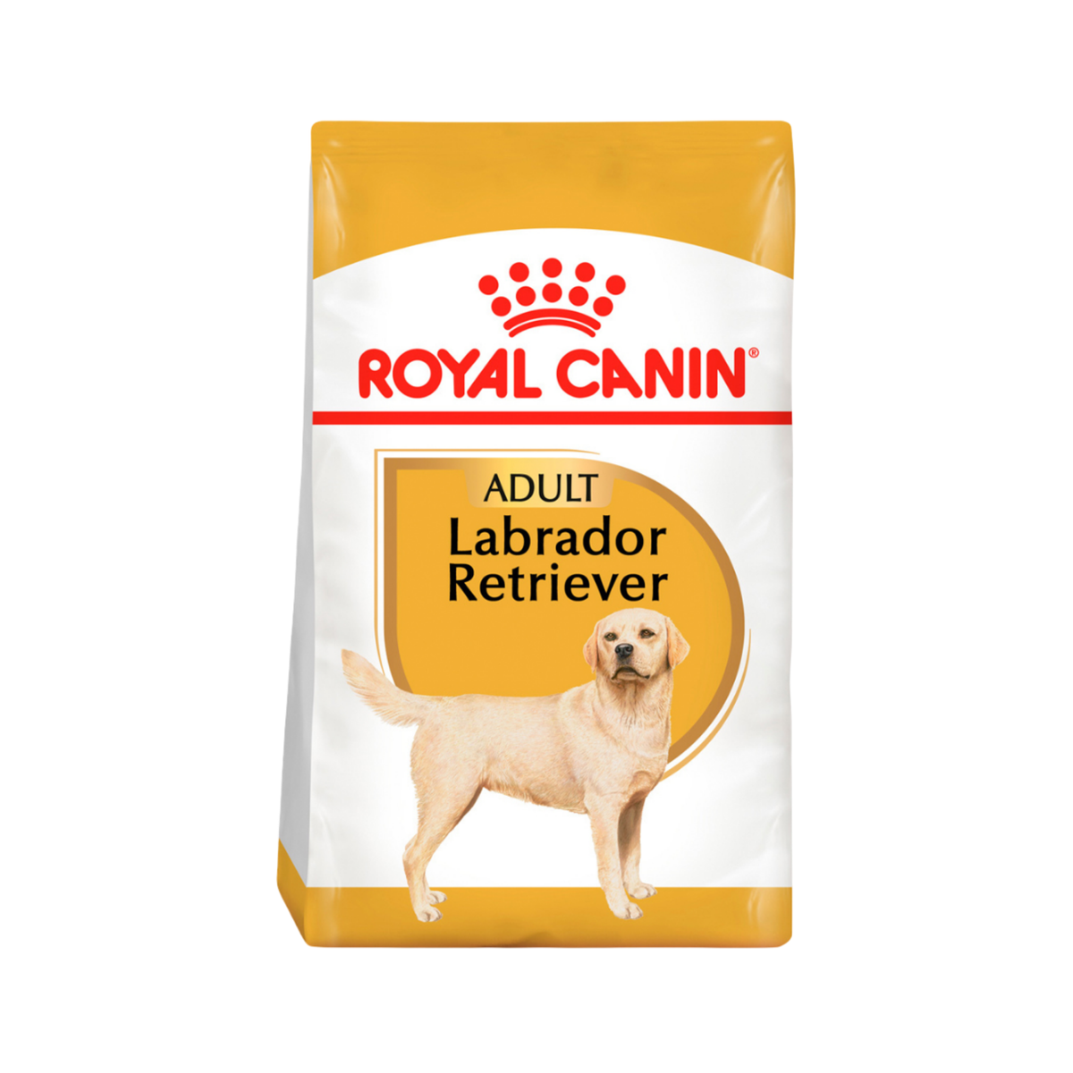 LABRADOR RETRIEVER ADULT 7.72 kg