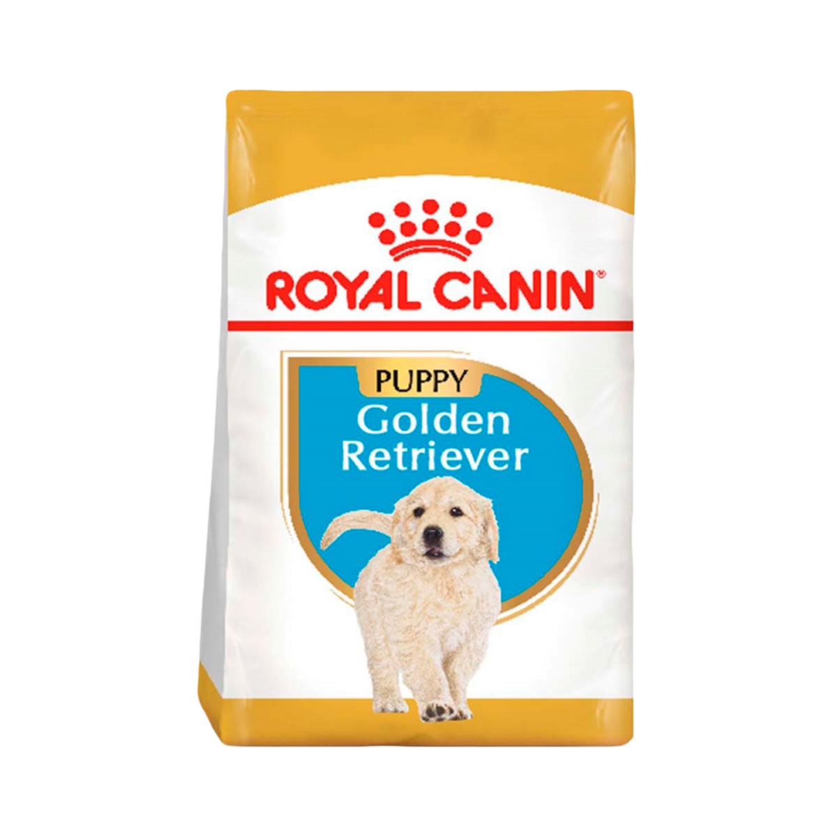GOLDEN RETRIEVER PUPPY 13.61 kg