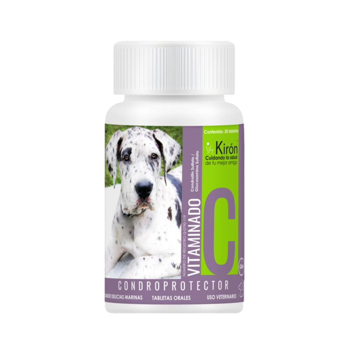 PERFORMANCE CONDOPROTECTOR VITAMINADO 30 tabs