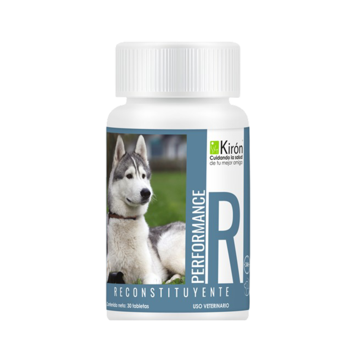 PERFORMANCE RECONSTITUYENTE 30 tabs