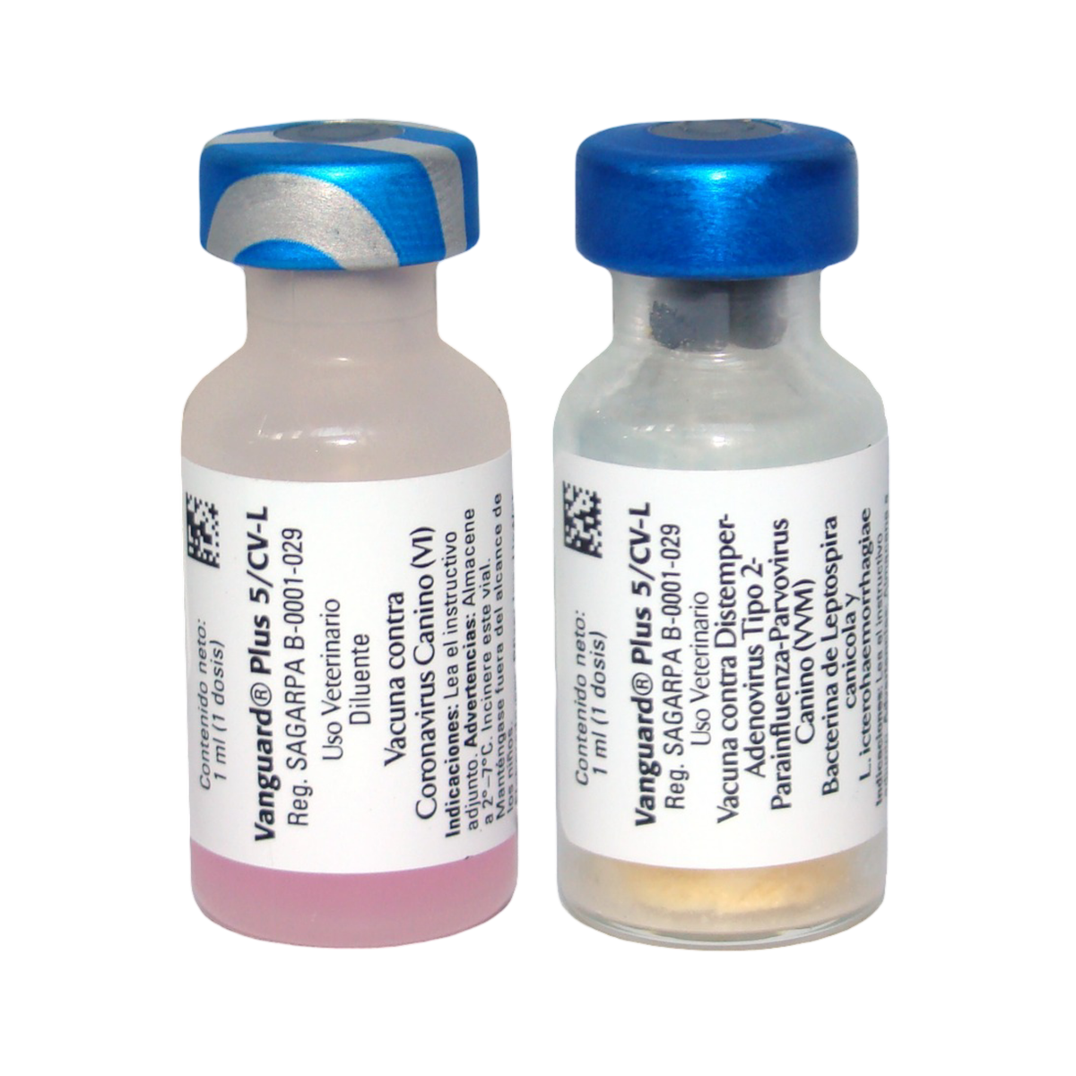 VANGUARD PLUS 5/CV-L 1 dosis