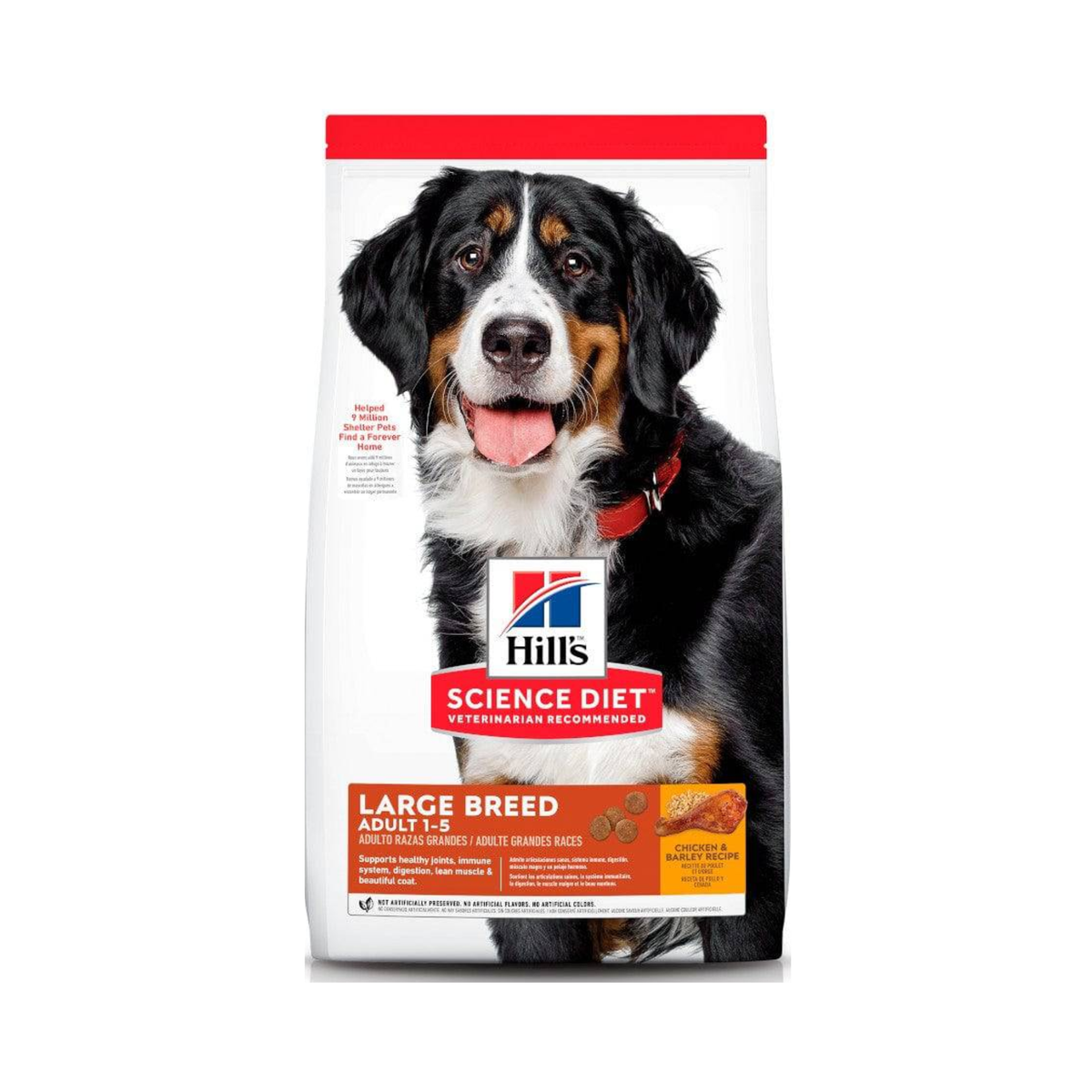 ADULT LARGE BREED 20.41 kg