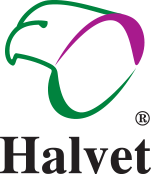 Halvet
